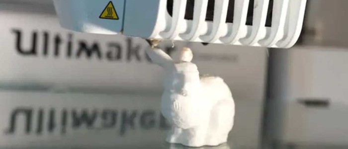 У цього 3Д-кролика є ДНК, яка пояснює, як зробити більше кроликів