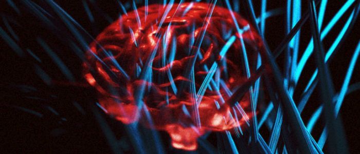 Комп'ютерні чипи цього стартапу працюють від людських нейронів