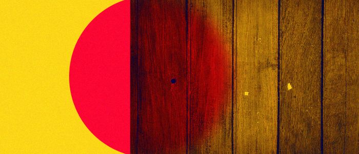 Ця «прозора деревина» може скоротити витрати на опалення вашого будинку