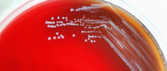 Тисячі заражених після витоку на китайському фармацевтичному заводі