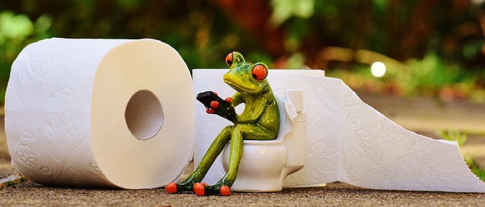 "Гортання стрічки в туалеті" збільшує ризик розвитку геморою на 46%