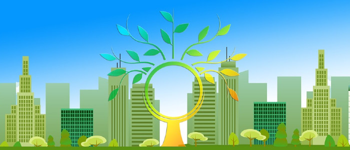 Дерева охолоджують температуру поверхні землі у містах до 12 градусів