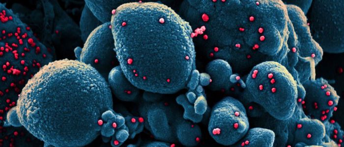 Два дослідження показують, що вологість запобігає поширенню коронавірусу