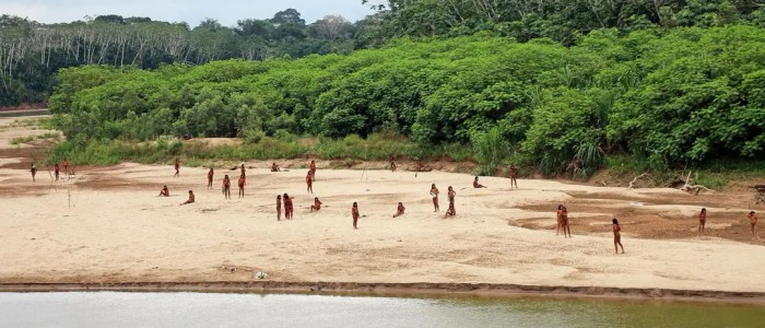 Ізольоване плем'я Амазонки виходить із тропічного лісу