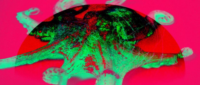 Професор пророкує «вищі форми життя» на місяці Юпітера Європі