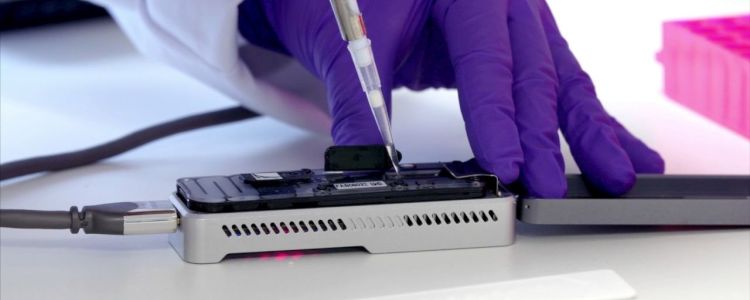 Використовуючи ДНК, нове програмне забезпечення може ідентифікувати за хвилини