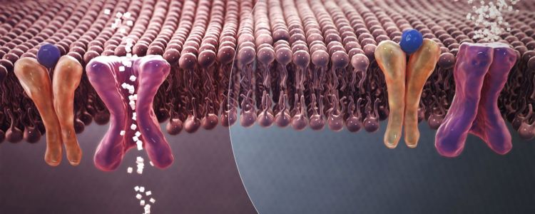 Відкриття вірусного інсуліну передбачає, що мікроби можуть впливати на діабет