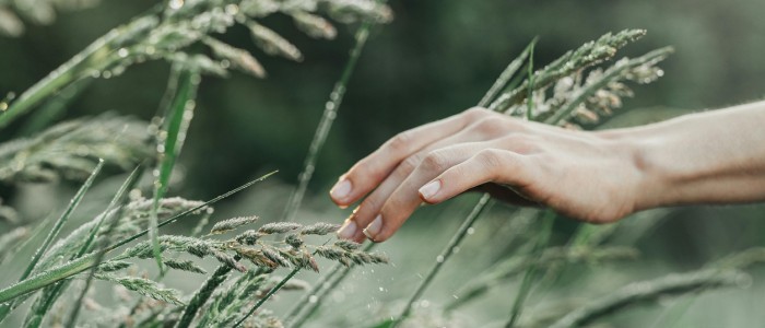 Проста прогулянка на природі швидко поновлює концентрацію уваги