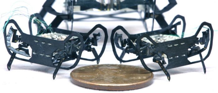 Гарвардський робот розміром з пенні метушиться, як тарган