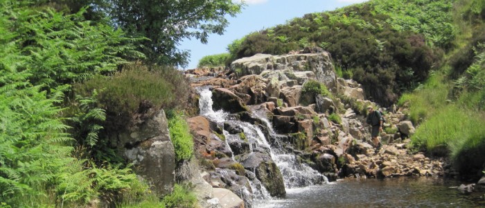 Вода існувала задовго до Сонячної системи, вважають астрономи