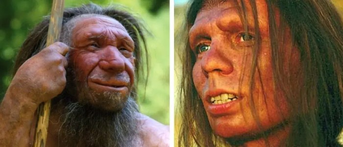 Наші пращури схрещувалися з померлим людським видом, і це залишило похмурі зміни в нашому мозку