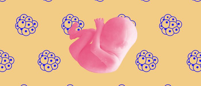 Ми можемо лікувати хворих дітей ще до народження