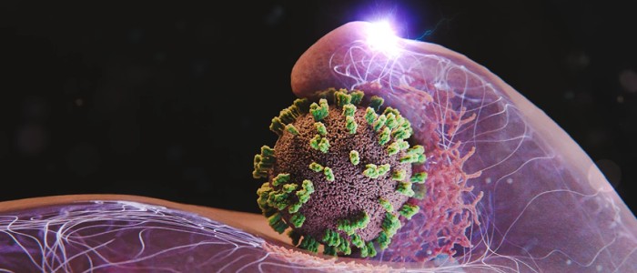 Тепер ми можемо спостерігати, як вірус грипу проникає у клітини людини