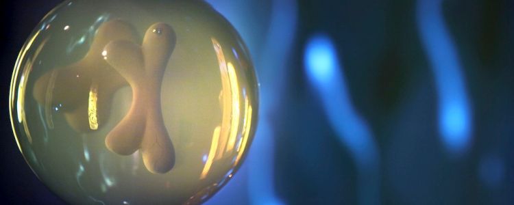 Ми можемо спостерігати, як спогади передаються через покоління