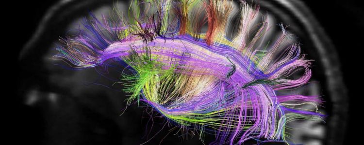  Вперше в історії ультразвук використали для "запуску" мозка пацієнта в комі