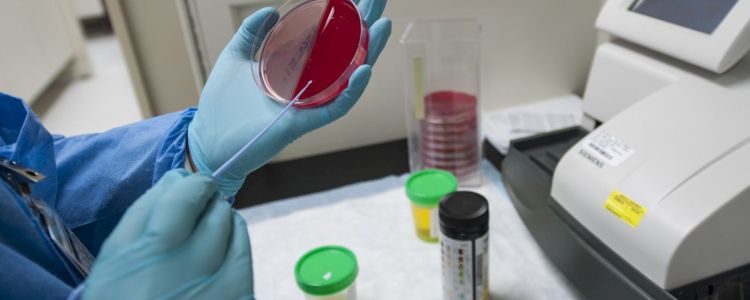 Чи буде у вас хвороба Альцгеймера за 30 років? Відповідь в вашій крові