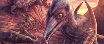 Знайдено вид летючих рептилій віком 200 мільйонів років