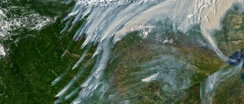 У 2021 році лісові пожежі викинули рекордну кількість CO2