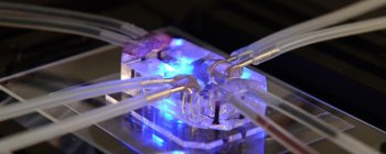 Дослідники надрукували перше 3Д серце-на-чіпі