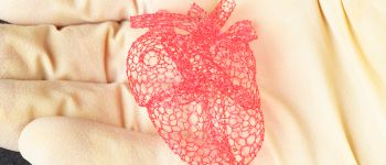 3Д-друковані риштування з цукру можуть допомогти вирощувати органи