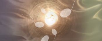 В Україні вперше народилася дитина від трьох батьків