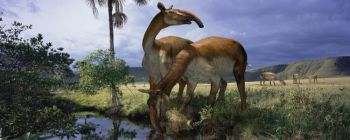 Дивна істота, виявлена Дарвіном, десятиліттями спантеличувала дослідників