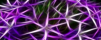 Нові дані свідчать про те, що хвороба Альцгеймера не знищує спогади, вона тільки блокує їх