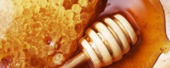 Австралійський мед виявився ефективним проти супербактерій