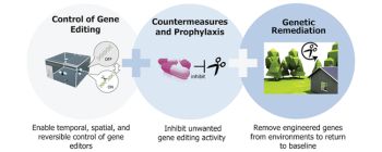 Нові ініціативи ДАРПА спрямовані на підвищення безпеки та ефективності генного редагування