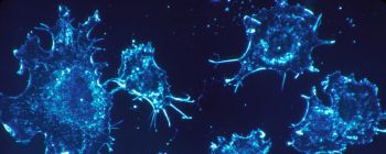 Дослідники знайшли ліки, які можуть допомогти уповільнити поширення декількох видів раку