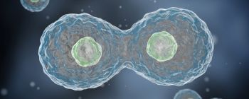 Безсмертні клітини цієї жінки врятували сотні тисяч життів