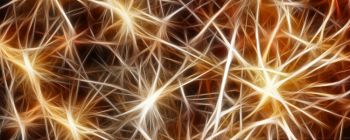 Революційне відкриття про людський мозок може привести до штучного інтелекту другого покоління