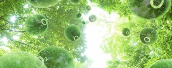 Цей наносекундний фільм може дати ключ до вільної, необмеженої енергії