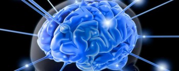 Імплантація ембріональних нейронів лікує пошкодження головного мозку у мишей