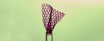 Нову латку розміром з марку можна використовувати для регенерації пошкоджених органів