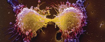 Зміна властивостей ДНК: у вчених є новий спосіб боротьби з раком