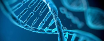 Вчені, можливо, знайшли "вимикач" для генного редагування