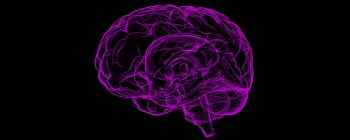 Наші мізки можуть передбачити майбутні події вдвічі швидше, ніж вони насправді відбуваються