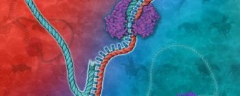 Потужний новий метод клонування може клонувати тисячі генів відразу