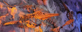 Вчені тепер можуть отримати давню ДНК людини з 240000-річного бруду