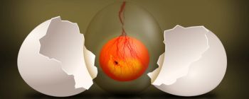 Вчені в США вперше успішно відредагували людський ембріон