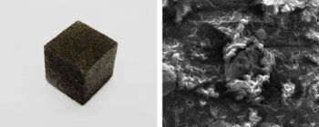 Вчені, можливо, виявили солодкий спосіб масового виробництва графену