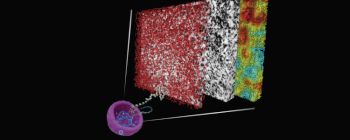 Вчені розкривають таємницю організації ДНК