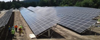 Вартість сонячної енергії впала на 25% всього за 5 місяців