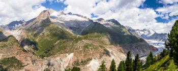 Вчені стверджують, що вони «вирішили таємницю того, як з'явилися перші тварини на Землі»