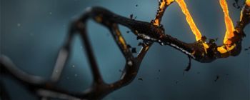 Стенфордські випускні іспити ставлять питання про етику генної інженерії