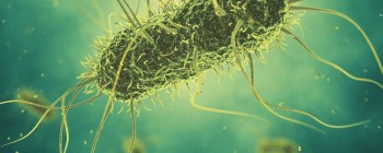 Синтетичні клітини пройшли тест Тюрінга