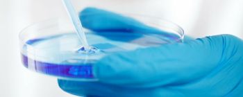 Цей новий метод редагування генів може виявляти помилки КРІСПРу