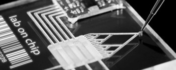 Цей чіп коштує один цент і може діагностувати все - від раку до ВІЛ