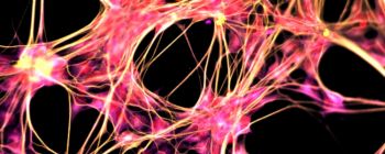 Нова технологія перетворює людську шкіру в клітини головного мозку